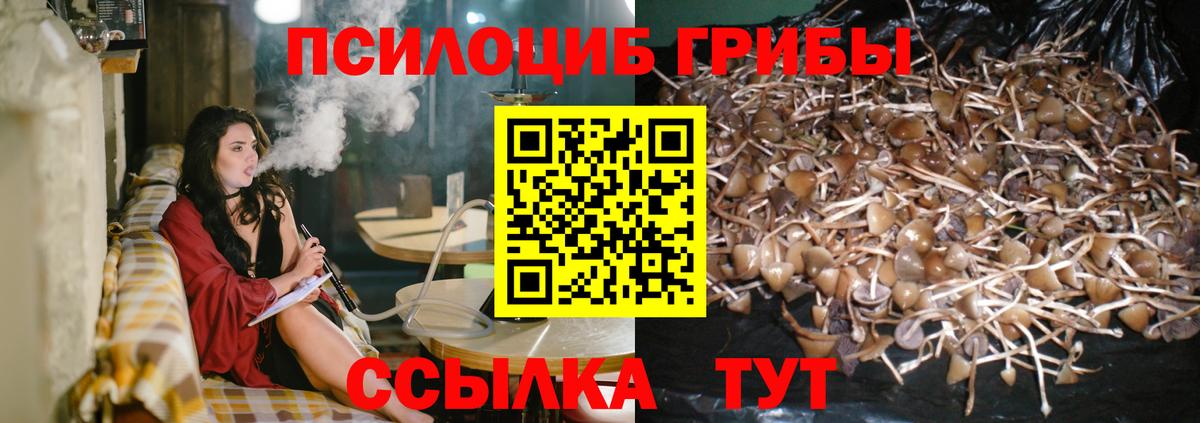 Галлюциногенные грибы GOLDEN TEACHER Чита