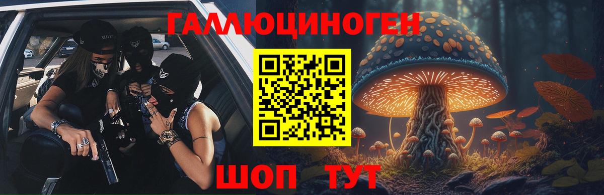 Чита  Псилоцибиновые грибы мицелий  Вход с VPN  Галлюциногенные грибы Psilocybe 